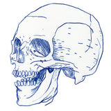 Prosthetic Reality V.1